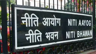 niti aayog flags gaps in professional services rules suggests easier licensing and wider mobility