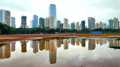real estate sector