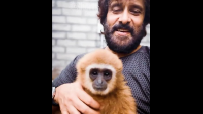 resizeplus gibbon