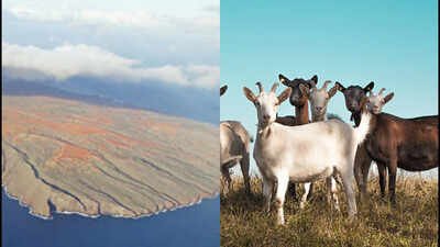 the cultural importance of the island is demonstrated by the some 3000 archeological and historical sites and features that were documented through 2004