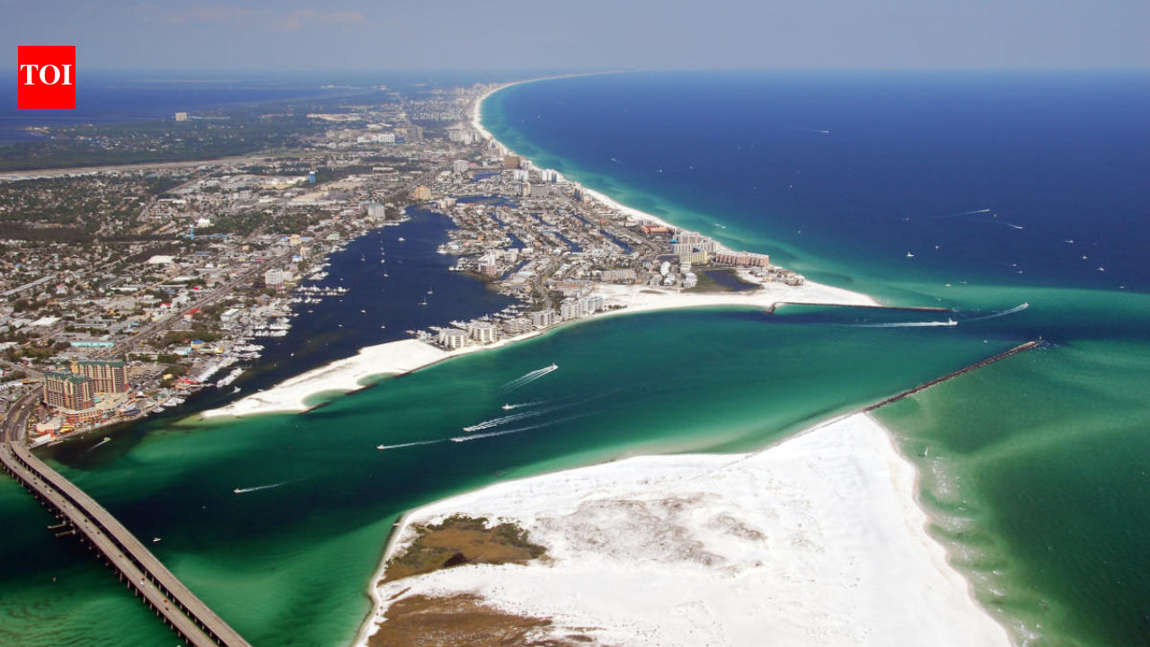 1789918555 photo