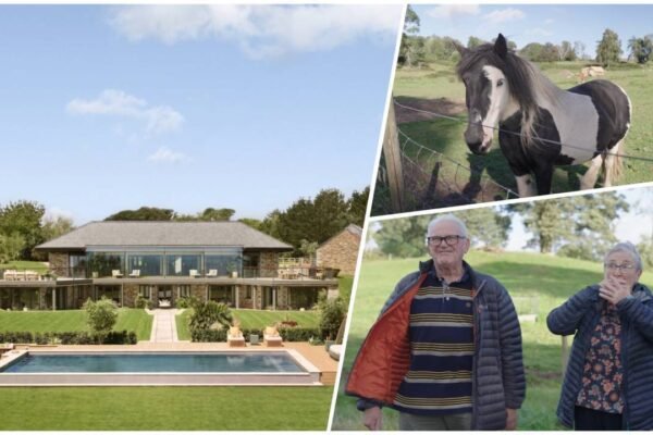 A 72 year old Scottish gran thought shed won a horse then