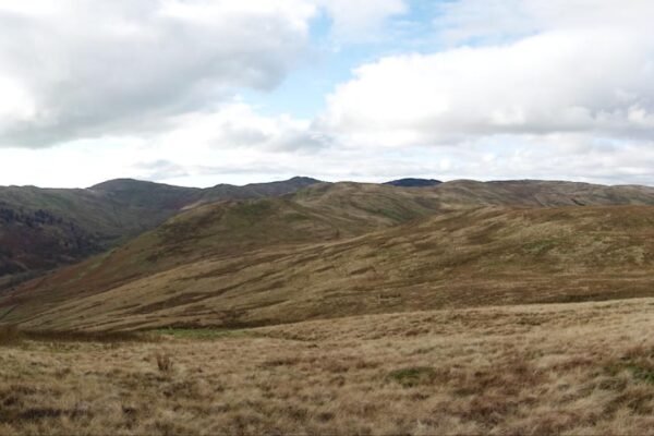 In 2012 an English upland restoration project began fencing sheep