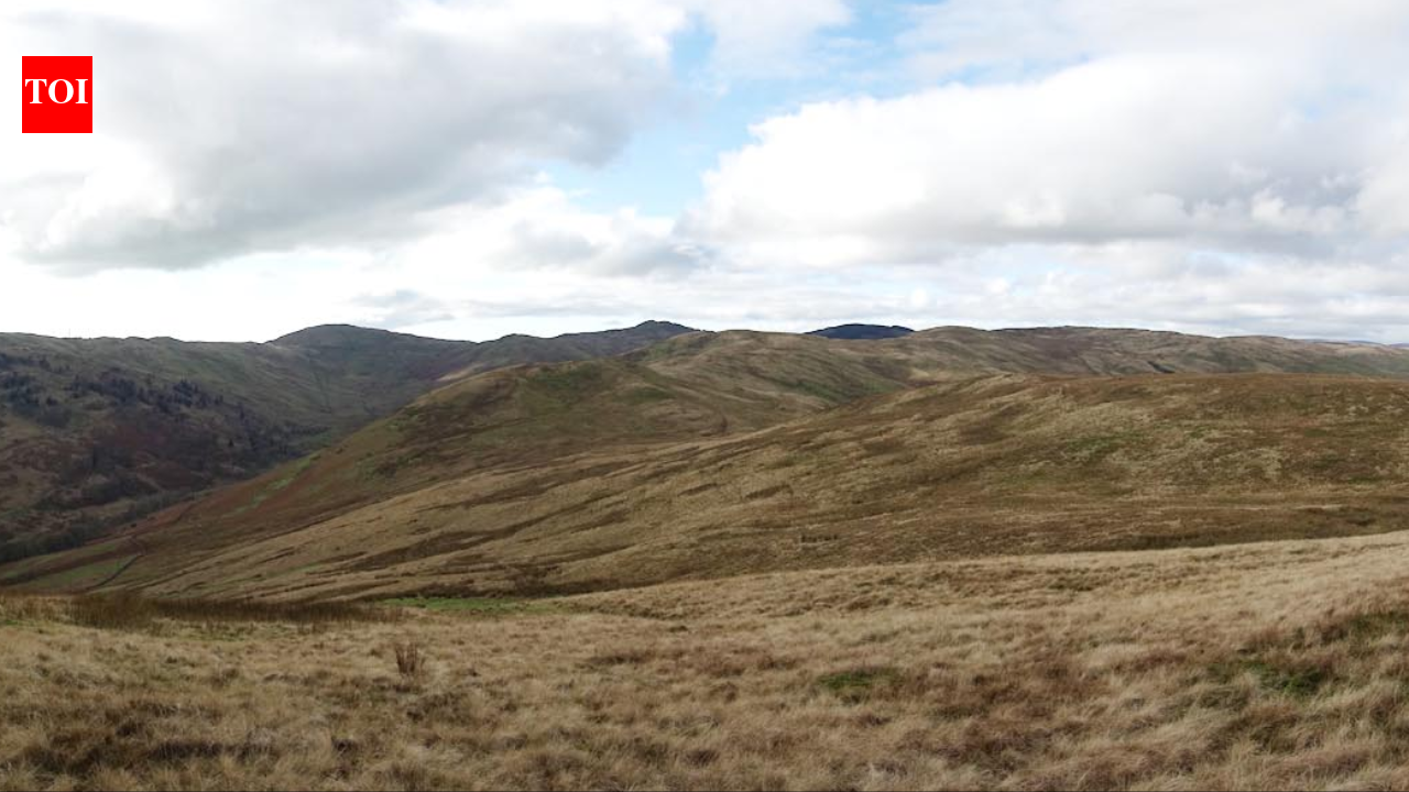 In 2012 an English upland restoration project began fencing sheep