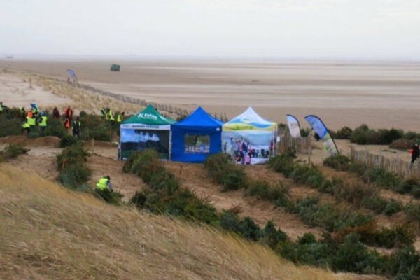 In 2013 a UK beach began planting discarded Christmas trees