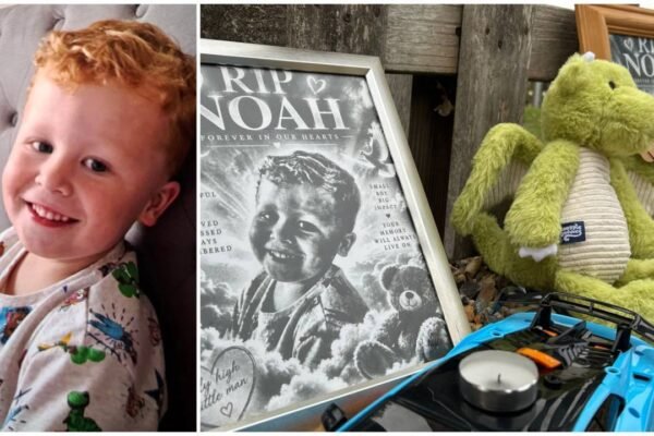 Who was Noah Woods 3 year old non verbal Suffolk boy with partial