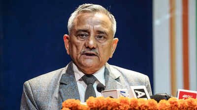 ex cds general anil chauhan on pakistan