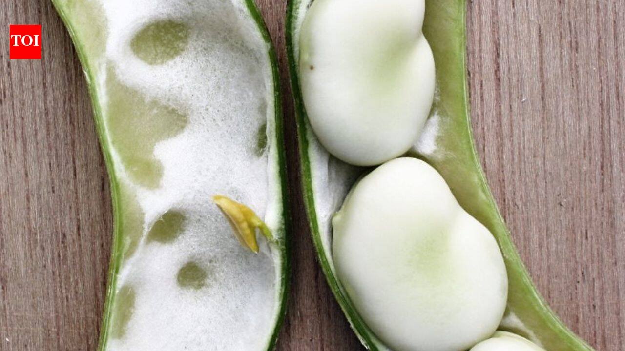 A Somerset family has grown the same broad bean since