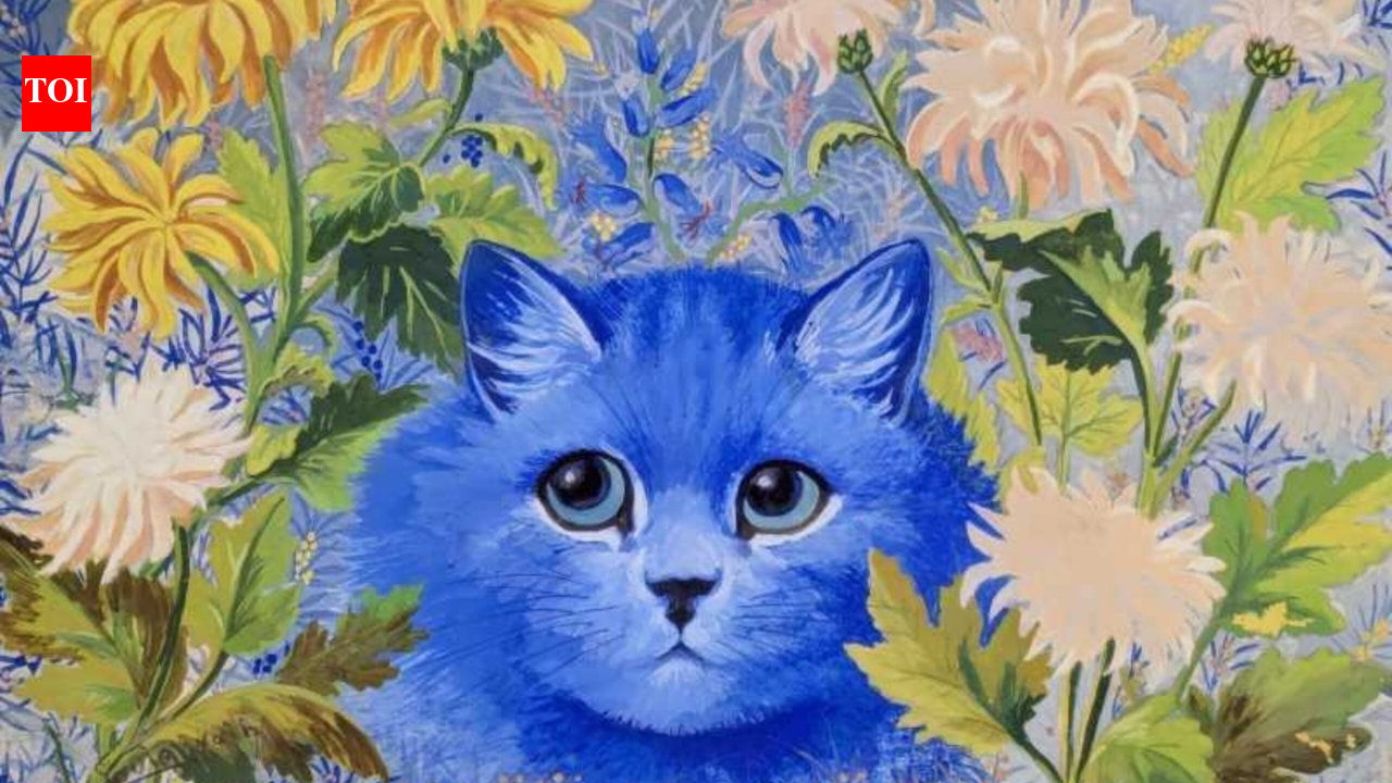 A couple rescued two discarded cat paintings from a skip