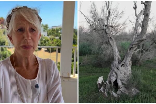 Helen Mirren 81 is on a mission to save Italys