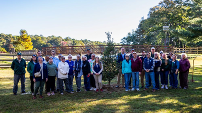 delaware marked its state parks 75th anniversary by planting its 75000th tree completing a five year goal across 17 parks while a broader program aims for one million new trees by 2030