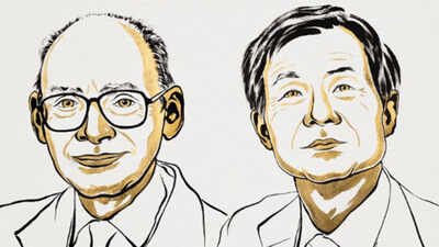 henri b kagan and kenso soai win nobel prize in chemistry 2026 for spontaneous homochirality solution