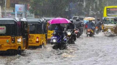 tamil nadu school holiday october 21 2026